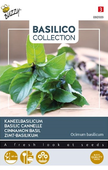 Kaneelbasilicum (Ocimum basilicum) 900 zaden BU